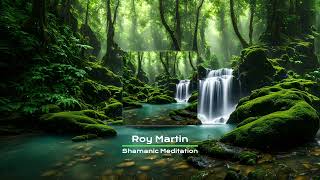 Roy Martin - Shamanic Meditation