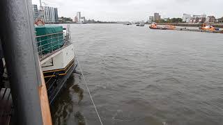 'Waverley paddle steamer cruising the River Thames and passing the former London Docks   12/10/24