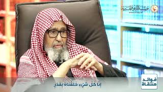 الرضى بأقدار الله واجب على كُل مُسلم🎙الشيخ صالح الفوزان حفظه الله