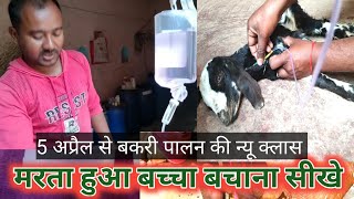 IV Treatment Se Marta Hua Memna Bachaya |Vimalumrao Training Classes