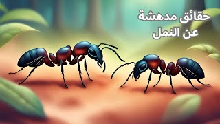 حقائق قد لا تعرفها عن النمل