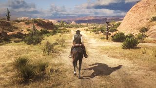 RED DEAD REDEMPTION 2 PS4 [Free Roam Gameplay]