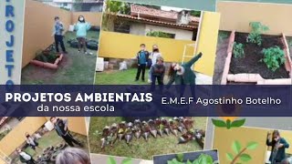 Projetos Ambientais da nossa escola - E.M.E.F. Agostinho Botelho