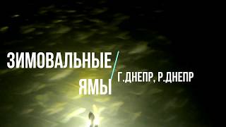 Обзор (разбор) Зимовальных ям г.р.Днепр (акватория Лесопарк)