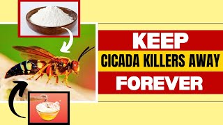 How to Get Rid of Cicada Killers Naturally