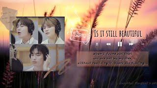 Seventeen Sad Playlist | you can listen to sad songs and shed tears ~ music is like that