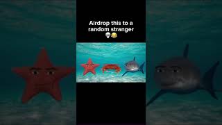 Do it I dare you #funny #gedagadugedugviral #starfish #dancing #crab #shark