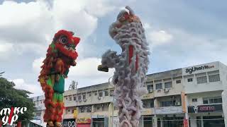 Acrobatic Lion Dance by Khuan Loke 群樂 @ The Starling Mall