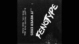 FENOTYPE - … It Never Ends EP