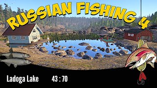 Russian Fishing 4 - Ladoga Lake - Jezioro Ładoga