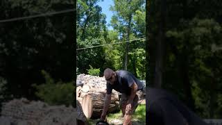 BUCKING UP SOME OAK