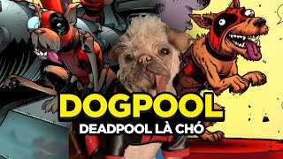 TẤT TẦN TẬT VỀ DOGPOOL TRONG COMIC VÀ TRONG PHIM Deadpool & Wolverine