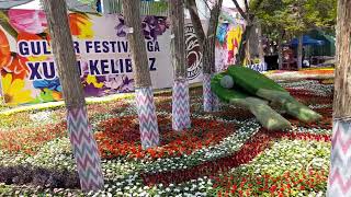 Festival of flowers 2022 Namangan