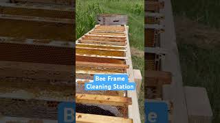 Hey Bees… Come and Get It! #bees #beekeeping #beekeeper #vinofarm