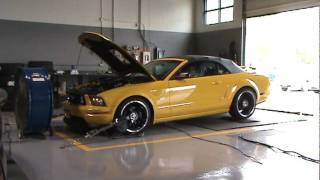 2007 Mustang GT w Saleen Super-Shaker Supercharger Kit - Steeda.ca