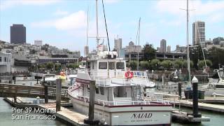 Pier 39 Marina