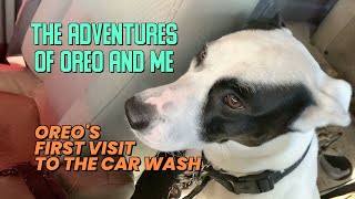 The Adventures of Oreo and Me - Episode 3 - Oreo's First Visit to the Car Wash