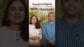 पशवः (प्रथमो भागः)| #संस्कृत में पशु (पहला भाग) | Animals in #Sanskrit (Part one)