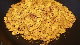 Gold Prospecting the West Coast of the South Island New Zealand