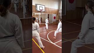 Yamaguchi-Sensei demonstrates neko-ashi dachi