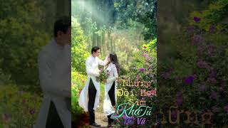 #shots Những Đồi Hoa Sim | Khả Tú #khatu #nhachaymoingay #bolero #lovesong #nhactrutinh #nhachay