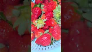 #fruit #ramadan #viralvideos #viral #food #ramadanvibes #foodvideos #satisfying #prepareforramadan