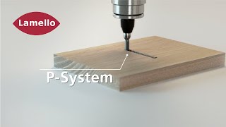 Lamello P System: Profilnut in Fläche mit P-System CNC Schaftwerkzeug und 3-Achs-Bewegung