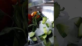 25.07.2024 г овощной 🍅 салат из овощей 🌶️ моего огорода 👨‍🌾 😋