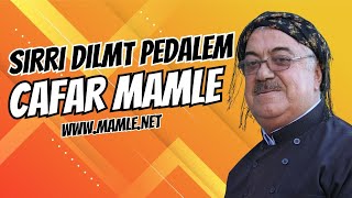 سیری دڵمت پێدەڵێم - وەرە سەر نەخۆشی دڵان - جەعفەر ماملێ | Cefer Mamle Jafar Mamle siri dlmt pe dalem