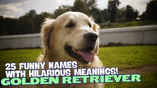 25 Funny Names for Golden Retrievers with Hilarious Meanings! 🐾