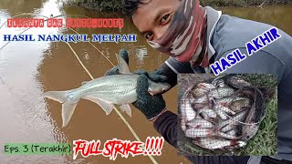 nangkul ikan hasil melimpah || nangkul di sungai ini ikan gak habis - habis. Eps.3 (terakhir)