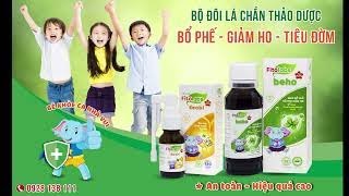 Bộ đôi lá chắn thảo dược BỔ PHẾ - GIẢM HO - TIÊU ĐỜM