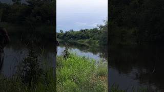 LAGO DOS TUCUNARE RIO PARAUPEBAS #rio #inshot #pescaria #natureza #ticktock #instagramyoutube