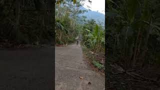 sepeda mtb melibas tanjakan kayuwangi | gunung gajah | shorts | #gowes #sepeda