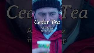 Adventure in your cup. Cedar Tea #fyp #scout #camping