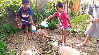 Introducing gardening to kiddos "cousins gardening time"