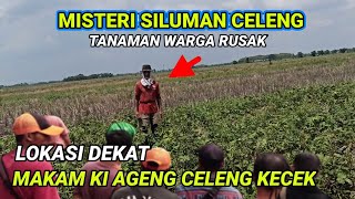 KEJADIAN VIRAL❗warga desa heboh Rahasia besar makam keramat di bawah pohon beringin terungkap.