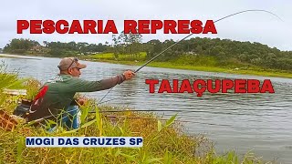 PESCARIA DE BARRANCO NA REPRESA DE TAIAÇUPEBA, MUITA AÇÃO ATÉ TUVIRA PEGAMOS  🎣🐟