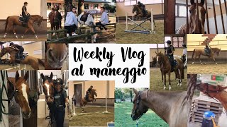 Weekly Vlog al maneggio | 2/7 ottobre | Pernilla Iperti