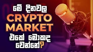 මේ දිනවල Crypto Market එකේ මොකද වෙන්නේ ?