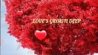 LOVE'S GROWN DEEP by Kenny Nolans