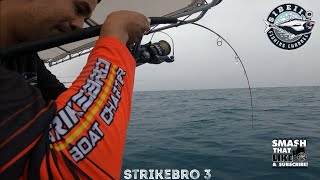 LIGHT JIGGING | BOTTOM STRIKE BRO 3 #Sibeii #StrikeBro #Nekan #Pekan #Shimano #TwinPower #StradicSW