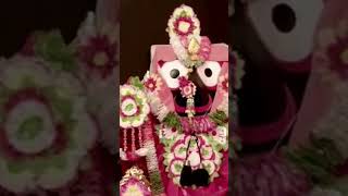 Jagannath bhajan #jagannath #rathayatra #status