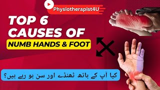 Causes of hand and foot numbness | ہاتھ اور پاؤں سن اور ٹھنڈے ہونے کی وجوہات