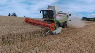 Lexion 570 + Axion 240 | E.T.A Boucton | Moisson de blé