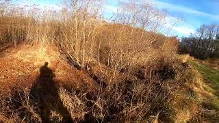 DELAWARE RABBIT DOG HUNTING WITH CHICK AND BUDDY RO WOODCOCK DOWN