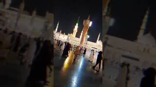 So beautiful Night view of Madina Teyiba 😍 #new #nature #short #viral #status #sad #religion