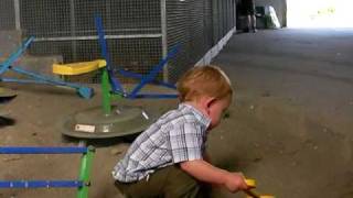 Sebastian at the Kiddie Farm, Tramore, 2 of 3