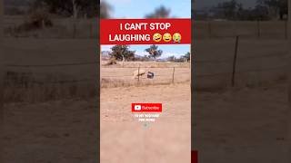 I can't stop laughing 🤣😂 #shorts #short #shortvideo #shortsvideo #shortsfeed #shortsviral #trending