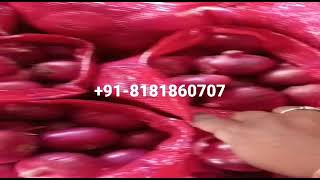 #Nashik #Onion #Red_Onion | India's Leading Exporter and Supplier